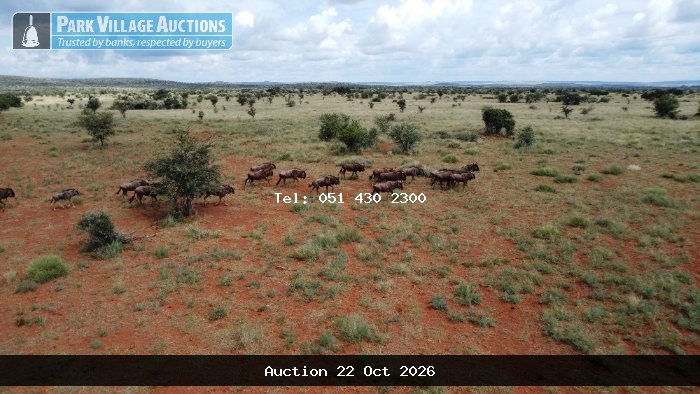 LIVESTOCK