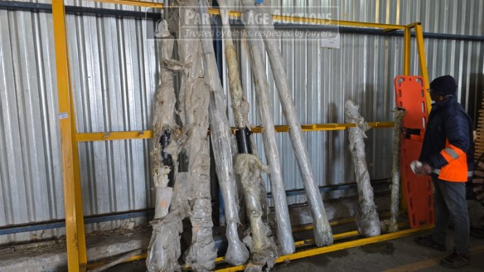 CYLINDERS X7 AND PROPSHAFT - EXCLUDING STEEL STAND