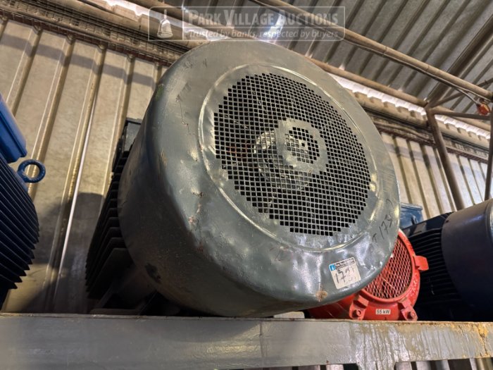 1 X ACTOM 250KW 4-POLE 525V MOTOR