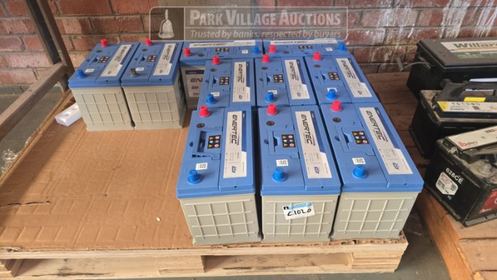 10 X 650 ENERTEC BATTERIES 12V