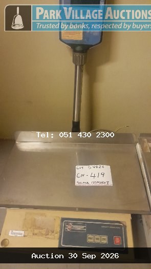 SCALE MASKOT