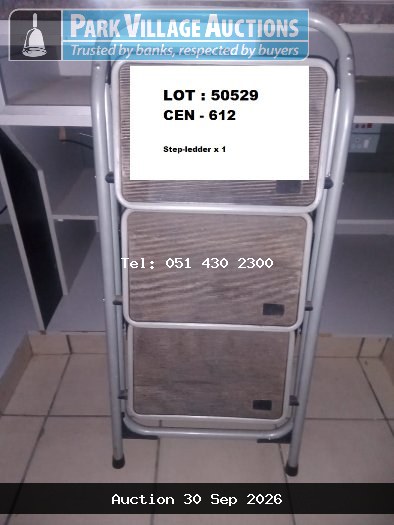 STEEL STEP LADDER
