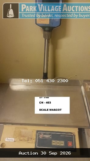 MASCOT SCALE