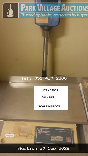 SCALE MASCOT