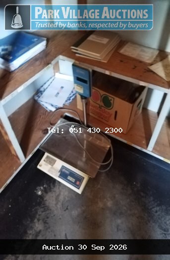 SCALE ELECTRONIC