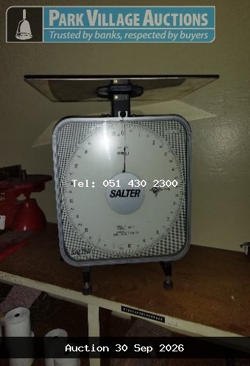 SCALE ELECTRONIC