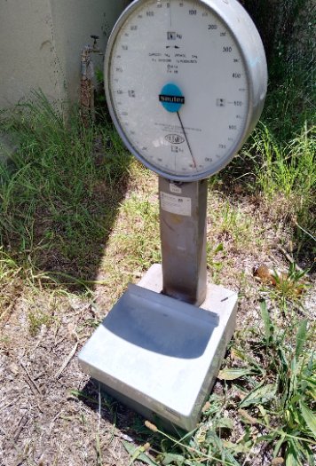 LARGE SCALE